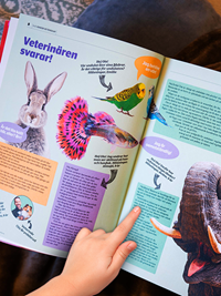 SvD Junior Vetenskap 4/2025