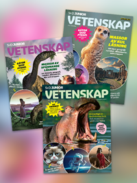 SvD Junior Vetenskap 8/2025