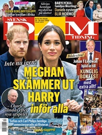Svensk Damtidning 12/2025