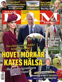 Svensk Damtidning 41/2025
