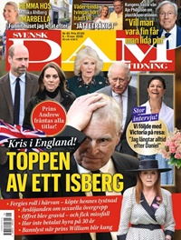 Svensk Damtidning 45/2025