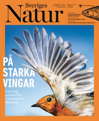 Sveriges Natur 5/2025