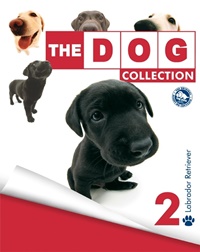 The Dog 2/2008