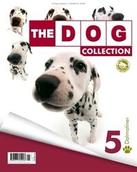 The Dog 5/2008
