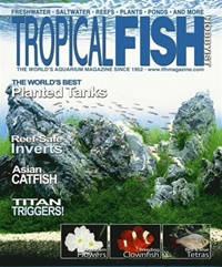 Tropical Fish Hobbyist (UK) 7/2009