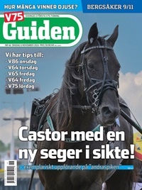 V85 Guiden 46/2024