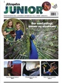 Aftenposten Junior 38/2025