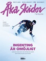 Åka Skidor