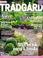 Allt om Trädgård 11/2025