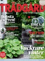 Allt om Trädgård 16/2025