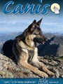 Canis 11/2010