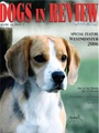 Dogs In Review 8/2009