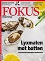 Fokus 26/2011