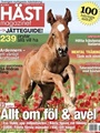 Hästmagazinet 3/2013