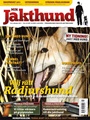 Min Jakthund 3/2011