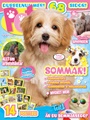 Pets 4/2025