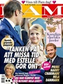 Svensk Damtidning 45/2017